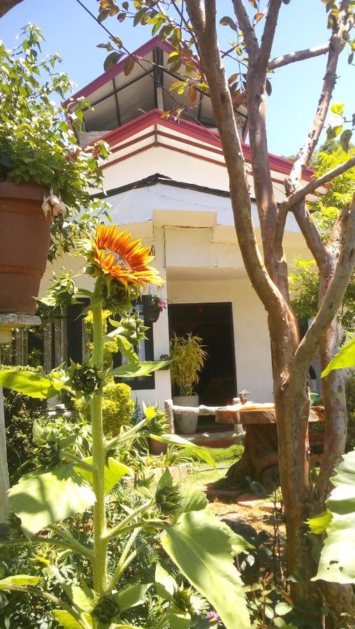 Redwood Homestay Nuwara Eliya Dış mekan fotoğraf