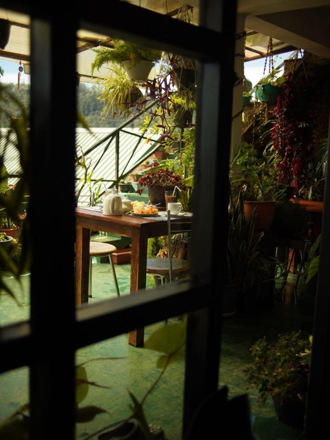Redwood Homestay Nuwara Eliya Dış mekan fotoğraf