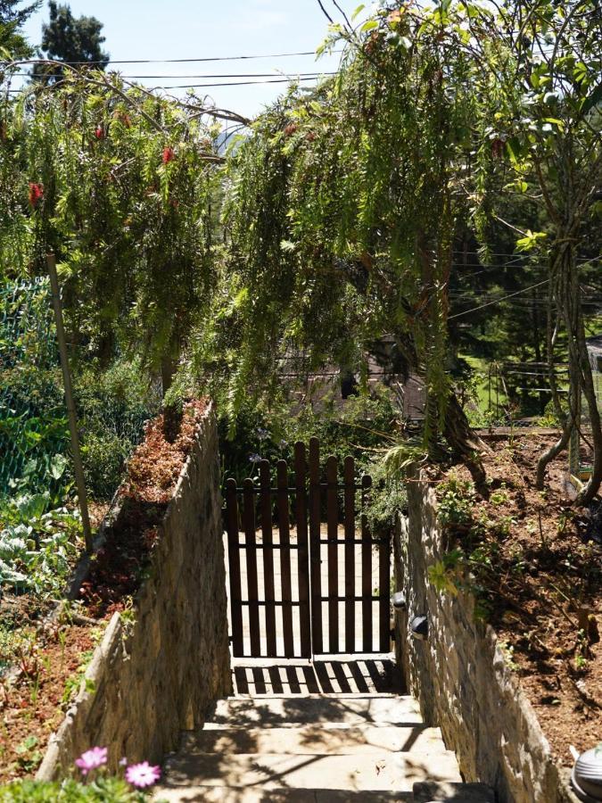 Redwood Homestay Nuwara Eliya Dış mekan fotoğraf