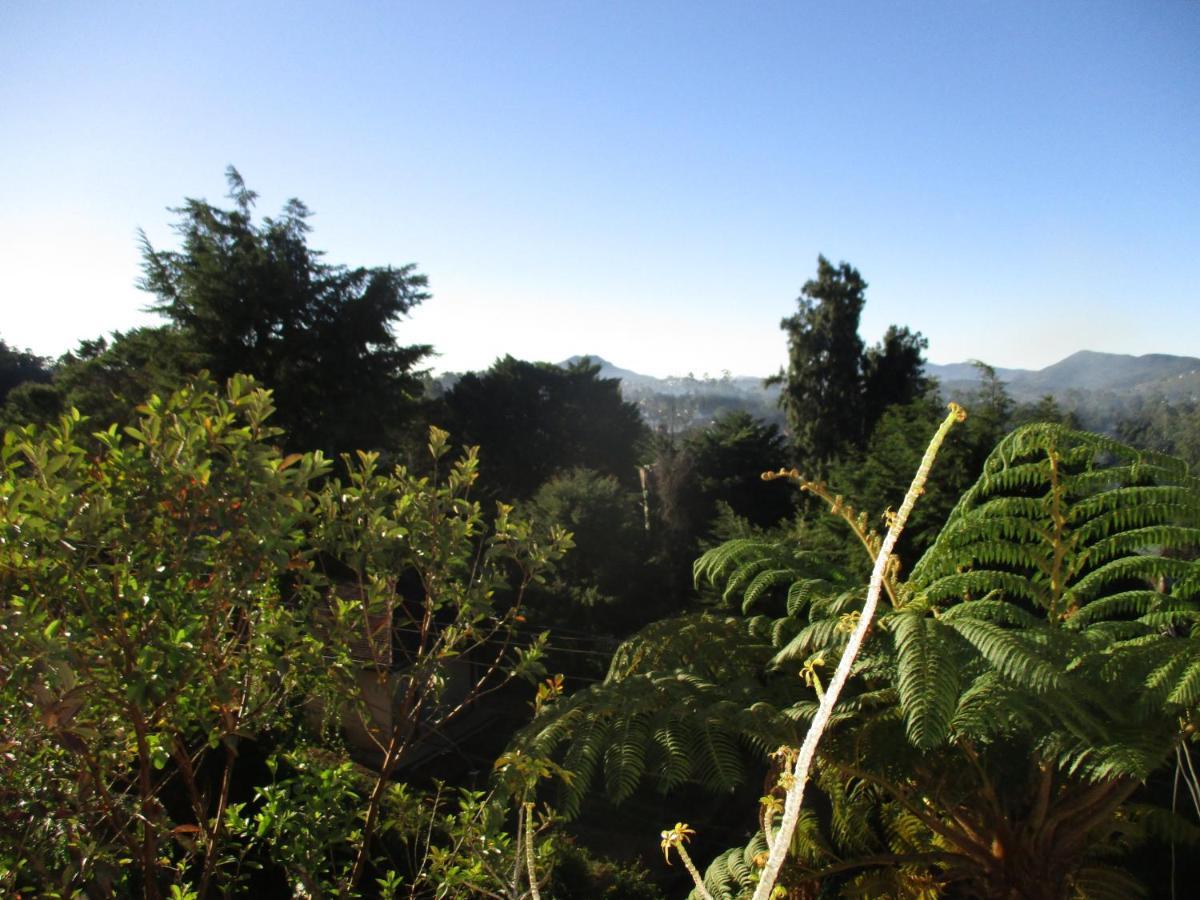 Redwood Homestay Nuwara Eliya Dış mekan fotoğraf