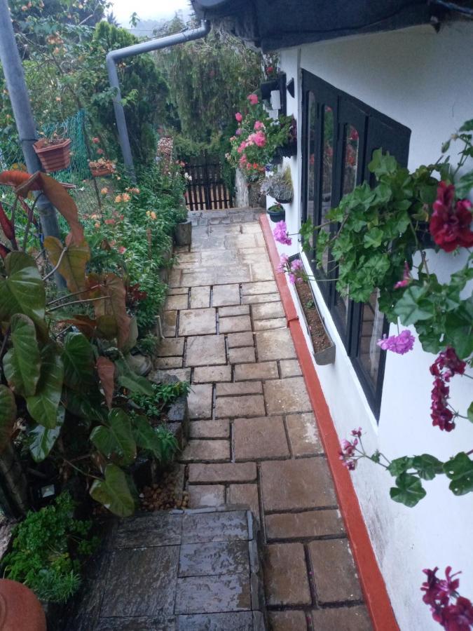 Redwood Homestay Nuwara Eliya Dış mekan fotoğraf